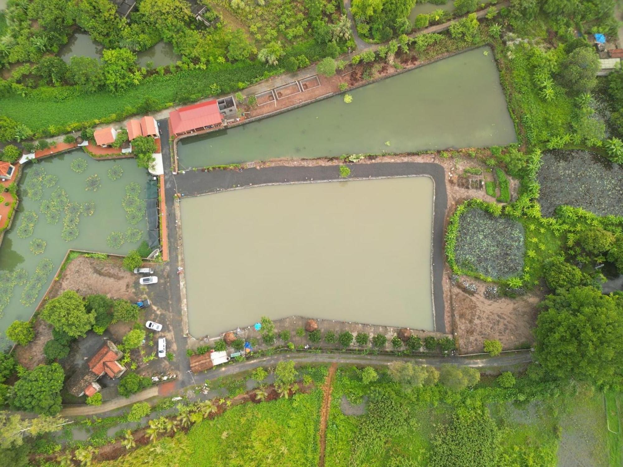 Tam Coc Cat Luong Homestay Ninh Binh Exterior foto